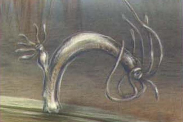 Kraken официальный сайт вход