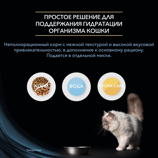 Восстановить доступ к кракену