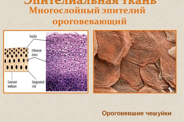 Кракен онлайн